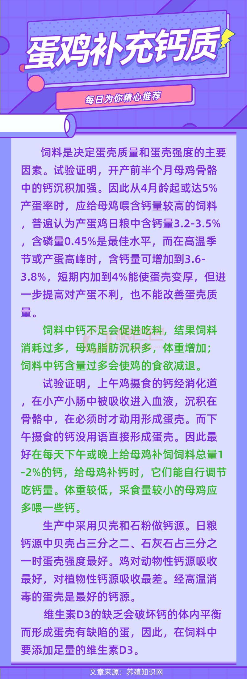 蛋鸡补充钙质的方法